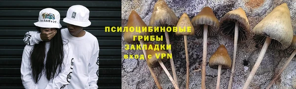 прущие крисы Аркадак