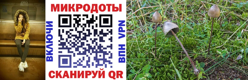 Псилоцибиновые грибы ЛСД  Морозовск 